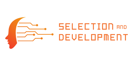 Strategic Approaches to Management Development